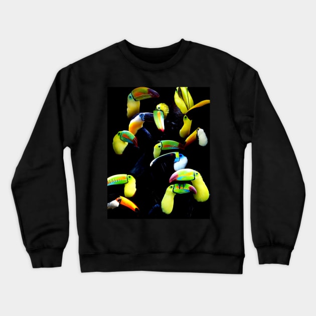 Toucans Crewneck Sweatshirt by MaxencePierrard